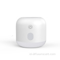 Built-in Baterai Lithium Ultrasonic Aroma Oil Diffuser